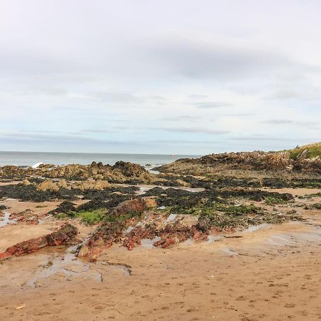Meadow Lodge Coldingham Exterior foto