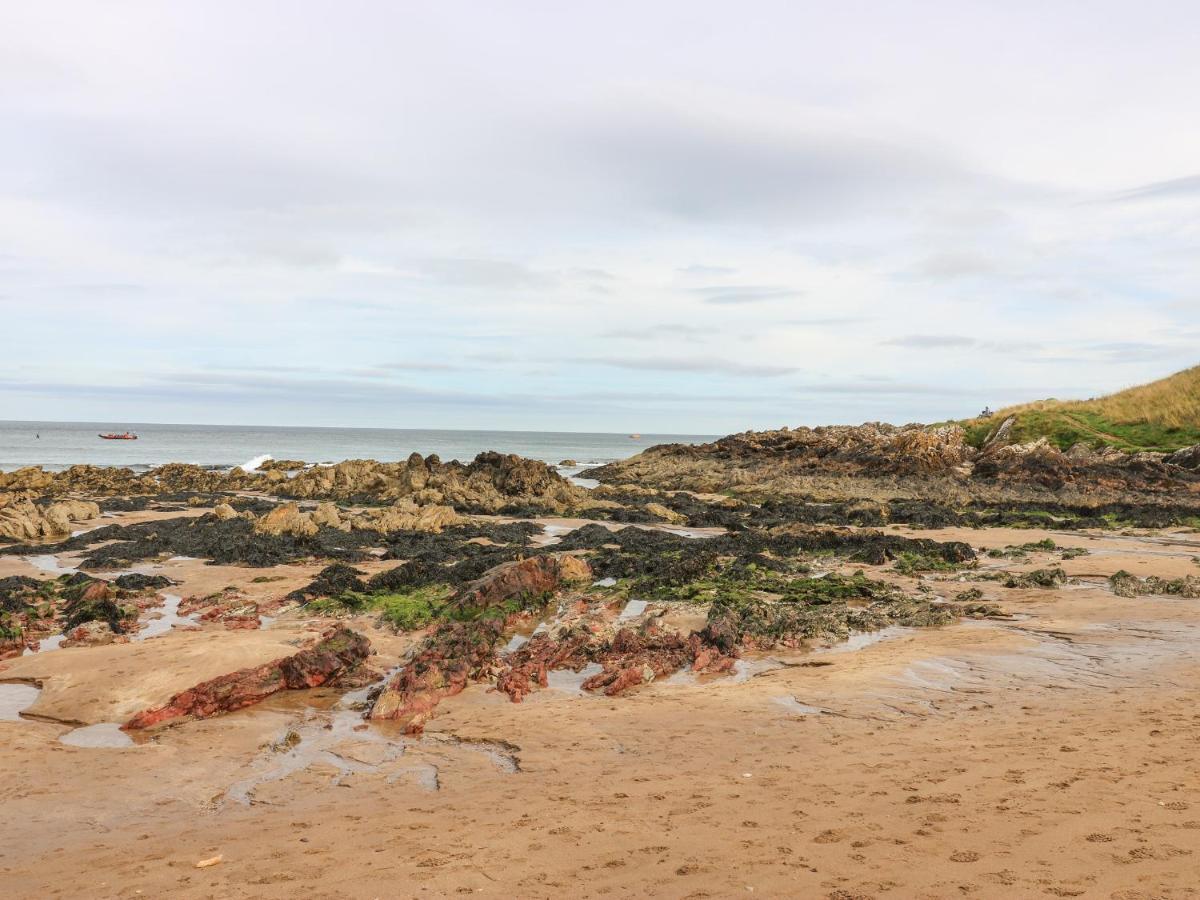 Meadow Lodge Coldingham Exterior foto